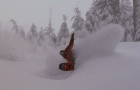 Le jardin plein de pow de K2