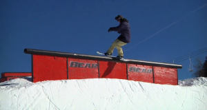 Le vrai dimanche dans le park à Bear