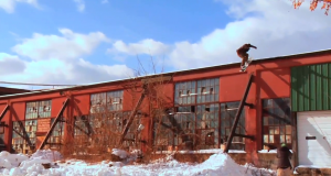 Nouveau teaser Keep The Change, la Videograss amateur