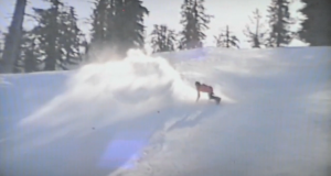 Surf des neiges en VHS avec Warp Wave
