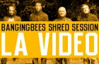 La vidéo de la BangingBees Shred Session à Chamrousse