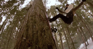 Danny Larsen, Jordan Mendenhall et des arbres