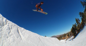 Spot Check ThirtyTwo à Bear
