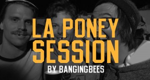 Poney Session 2014 – la vidéo BangingBees
