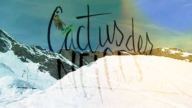 Cactus des neiges