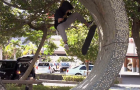 Nike SB amateur au Japon