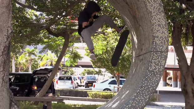Nike SB Japon