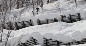 Offshore Snow Shapes au Japon