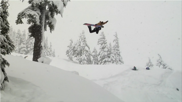 Forest Bailey