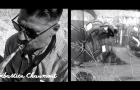 Skate & Jazz : Florent Theron x Sébastien Chaumont Quartet