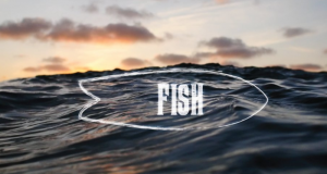 FISH SURFBOARD DOCUMENTARY TRAILER