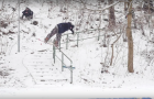 Stepan Rokos – Part 2015