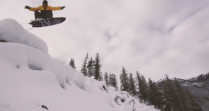 Warp Wave – Powder Safari