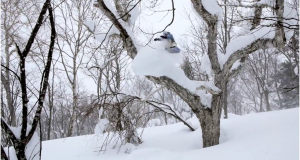 Christian Haller – MIYAGO