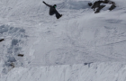 Nitro French Team 2015