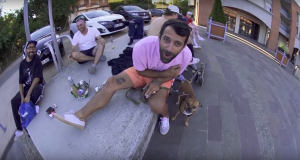 Adidas Skateboarding x Solo Mag – La Ville Rose