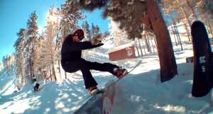 Sunday in the Park – Transworld – Insight