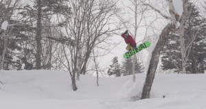 TRAINING DAYZE / YUSAKU HORII