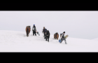 Rémy Barreyat x Niels Schack – Goodbye Horses