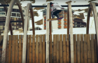 Minority – Semper Vivens