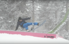 32 Spot Check Mammoth