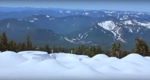 Snowboy Productions – « It’s Tits! »