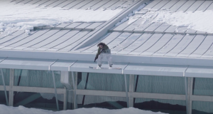 JOURNAL. The diary of a snowboarder