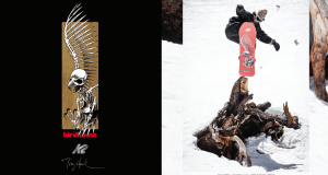 K2 Snowboarding x Tony Hawk x Birdhouse