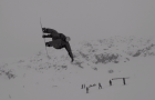 BangingBees x 2 Alpes Snowpark Opening
