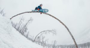 Vans – Artic Roses