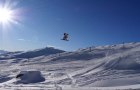 Salomon x BangingBees – Team edit in La Rosière