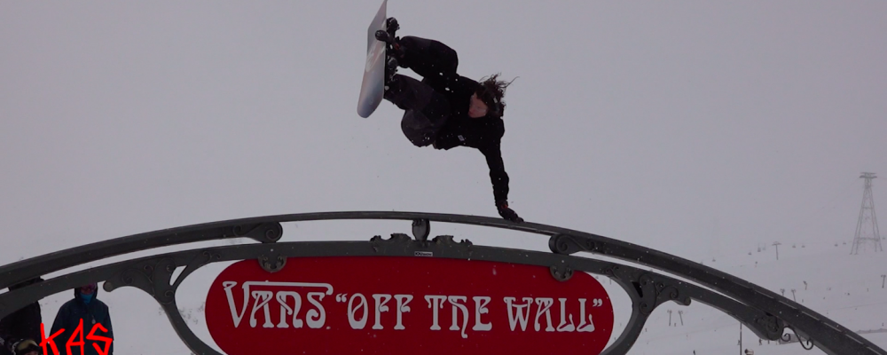 Vans x BangingBees – Hi Standard Laax