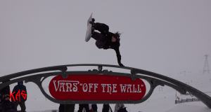Vans x BangingBees – Hi Standard Laax