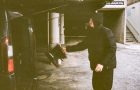 Vans – bless the ledge / secret tape